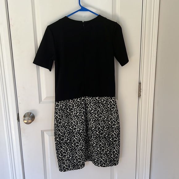 Dolce Vita Leopard Mini-Dress - Picture 3 of 4